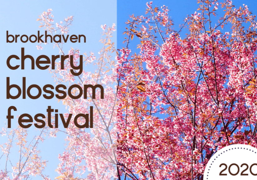 Brookhaven Cherry Blossom Festival this March in Atlanta GA